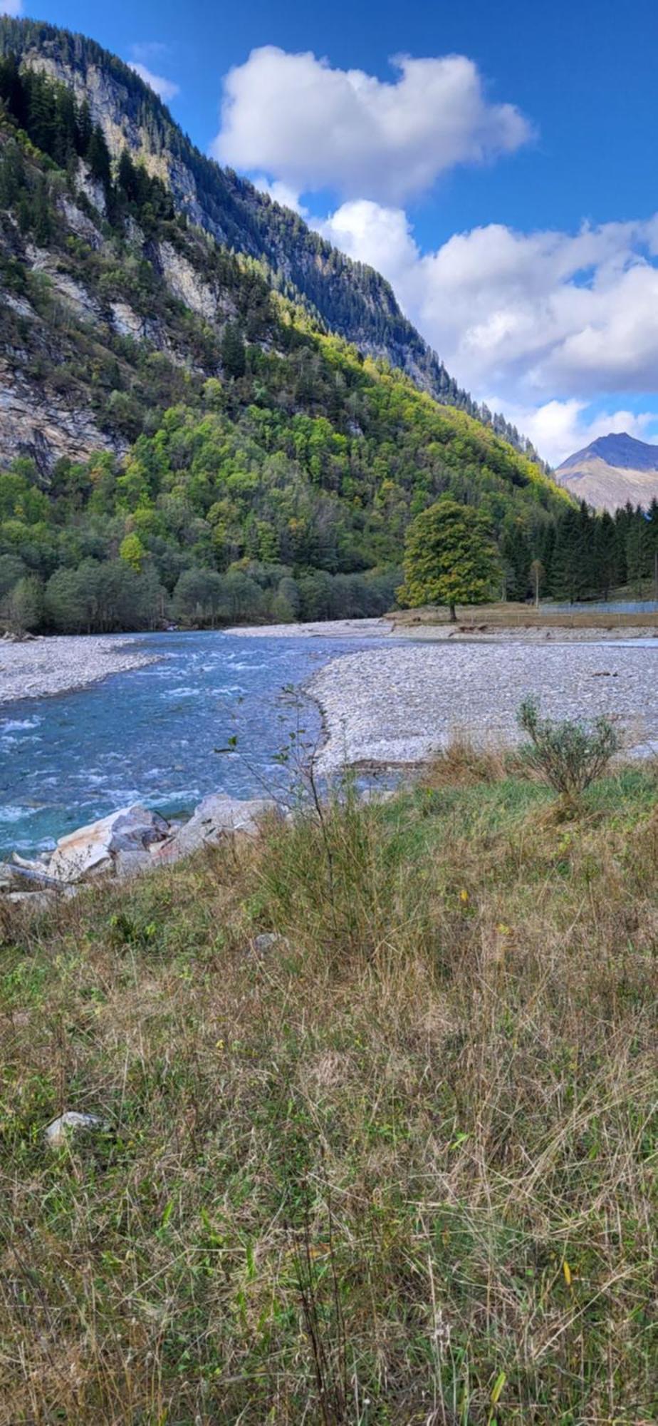 Casa Oliver, Tra La Calanca E I Castelli Di Bellinzona Grono Exterior foto